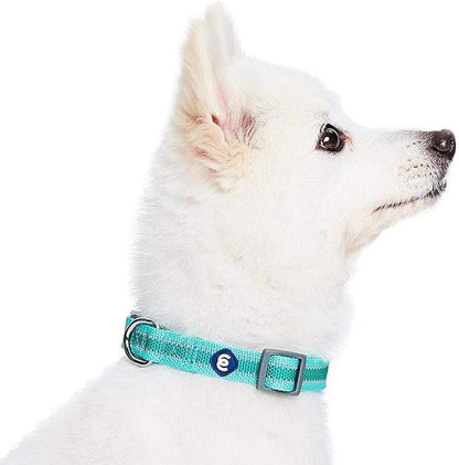 Blueberry Pet Essentials Matching Large Dog Collar | Adjustable Classic Solid Color Nylon Dog Collars for Large Dogs | Reflective Rouge Red Dog Collar for Large Dogs