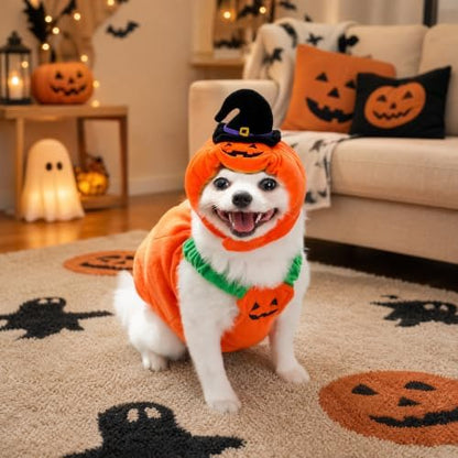 Dog Halloween Costume Pumpkin Outfit for Cats & Small Medium Dogs Plush Pumpkin Back Costume with Witch Hat Headwear Funny Cat Cosplay Apparel for Halloween Party L - Image 4