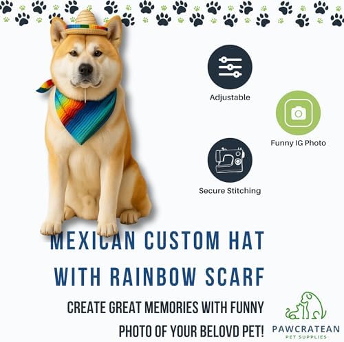 Pet Custom Dog Custom Cat Custom Hoodie, Sporty Look, Funny Gift, Halloween Holiday (Sombrero Set, One Size) - Image 7