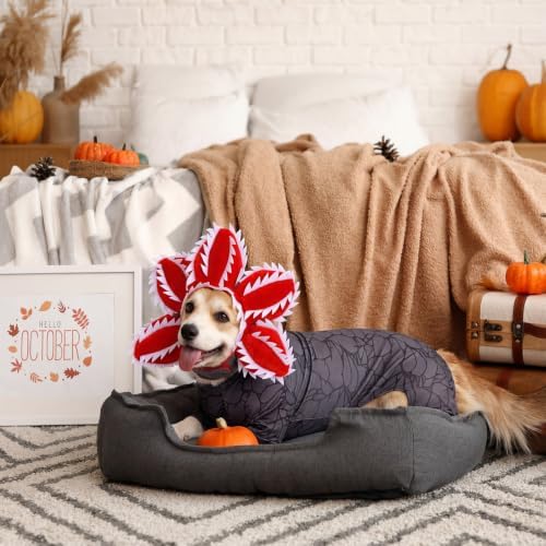 2 Pcs Halloween Carnivorous Flower Dog Costume Separated Funny Hat, 2XL - Image 5