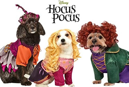 Hocus Pocus: Winifred Pet Costume - Medium - Image 3