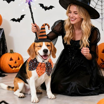 PAWCHIE Dog Halloween Costume,Halloween Collar Hat Set Pets Puppy Cat Halloween Outfit Apparel Cosplay, Dog Collar with Bells and Funny Hat Accessories Decoration for Small Medium Dogs 2 Pcs, Orange - Image 2