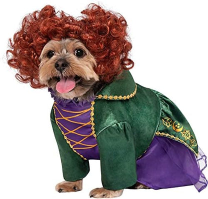 Rubies Disney Hocus Pocus: Winifred Sanderson Pet Costume for for Dogs or Cats, Large by Rubies