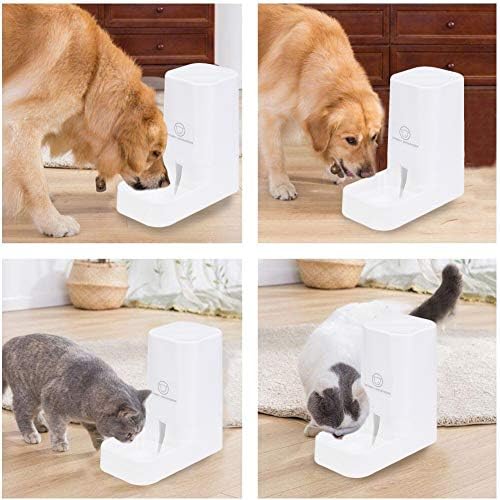 XhuangTech Pets Automatic Feeder Set, Cats Dogs Food Dispenser Self-Dispensing Bundle Station Device for Small Middle Large Pets Cats Dogs Kitten Puppy (Waterer)