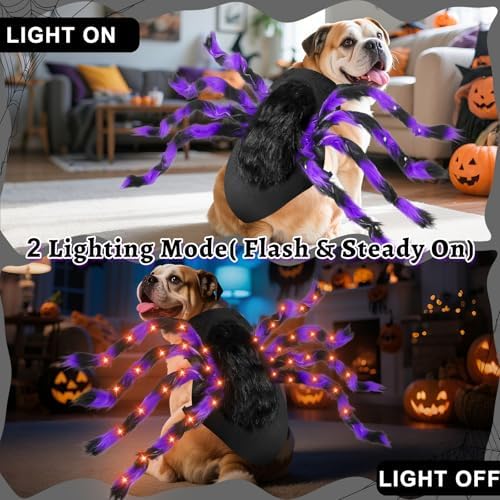 Halloween Light up Spider Dog Costumes for Small Medium Large Dogs - Image 3