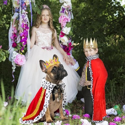 Luxurious Gold Plated Royal Crowns Rhinestone Tiara Dog Cat King Queen Crown for Royal Family Outfits Birthday Hair Accessories Medium King Queen Prince Princess Costumes - Image 2