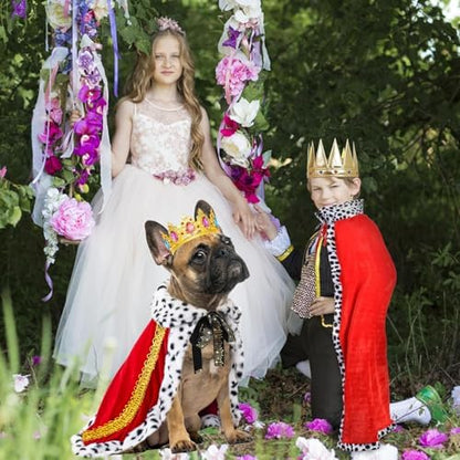 Luxurious Gold Plated Royal Crowns Rhinestone Tiara Dog Cat King Queen Crown for Royal Family Outfits Birthday Hair Accessories Medium King Queen Prince Princess Costumes - Image 2