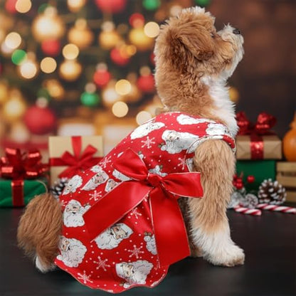 Christmas Santa Claus Dog Dress, Festive Holiday Pet Skirt Outfit with Snowflake Design for Small and Medium Dogs - Image 4