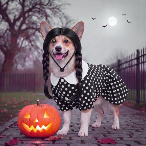 Hercicy 2 Pcs Dog Halloween Costumes Gothic Dress with Dog Wig, L - Image 4