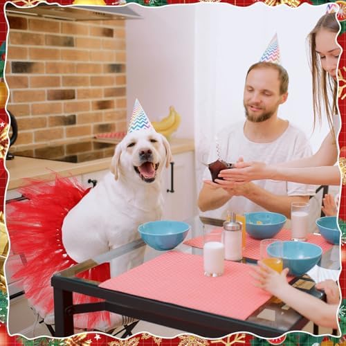 Dog Tutu for Dogs Tulle Skirt Pet Costume, Red - Image 6