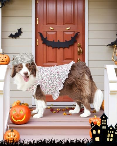 4P Funny Granny Wolf Dog Pet Costume – Halloween Old Lady Costume for Medium and Large Dogs – Includes Dress, Wig, Glasses & Chain Pet Halloween Party Inspired by Fairy Tales - Image 6