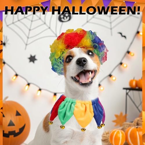 EXPAWLORER Dog Halloween Costume, 2 Pack Funny Doggie Cosplay Rainbow Jester Clown Wig with Collar, Adjustable Headwear Dress Up Holiday Apparel for Party for Small Medium Large Dogs Puppies Cats - Image 6