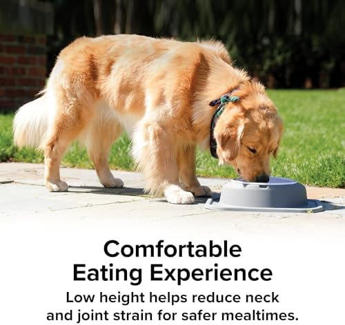 WeatherTech Single Low Pet Feeding System w/Plastic Dog/Cat Bowls - 96 oz (12 Cups) Light Grey (PSL9603LG)