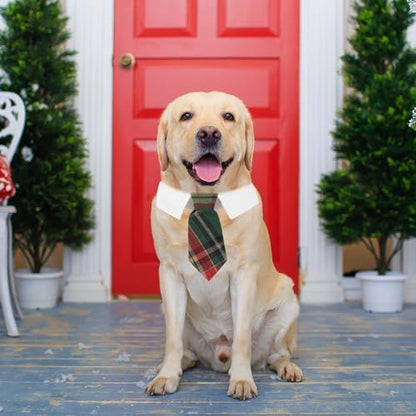 ADOGGYGO Christmas Dog Necktie, Xmas Pet Tuxedo Costume, Green Plaid Christmas Neck Tie Collars for Large Dogs (Large) - Image 3