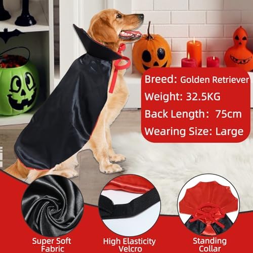 ROSAUI Halloween Pet Vampire Cape – 23.62″ Adjustable Red & Black Costume for Large Dogs (Golden Retriever, Labrador, German Shepherd) Spooky Cloak with Stand-Up Collar (L Size) - Image 3