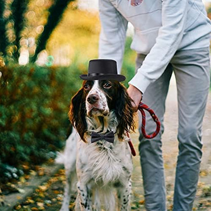 Yewong 2-Piece Pet Formal Accessories Set - Top Hat with Formal Necktie/Bowtie for Dog & Cat (Black, One Size) - Image 3