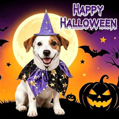 PAWCHIE Dog Halloween Costume,Halloween Collar Hat Set Pets Puppy Cat Halloween Outfit Apparel Cosplay, Dog Collar with Bells and Funny Hat Accessories Decoration for Small Medium Dogs 2 Pcs, Purple - Image 7
