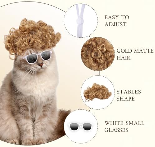 HOWWFALY Cat Apparel Cat Gold Afro Wig with White Small Glasses Styling Cute Funny Pet Hair Accessories Decoration for Halloween, Christmas, Parties - Image 2