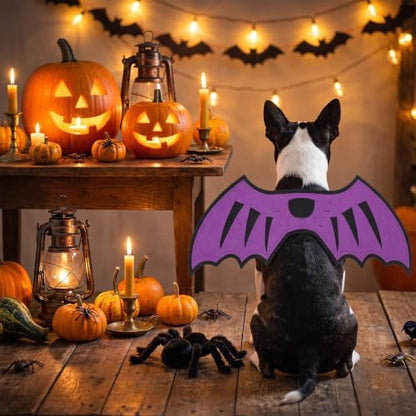 3 Pcs Halloween Costume for Dog Cat, Spider Bat Wings Cape, Purple, M - Image 4