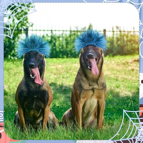 Huhumy 2 Pcs Blue Dog Wig Costumes, Halloween Thing Costume - Image 6