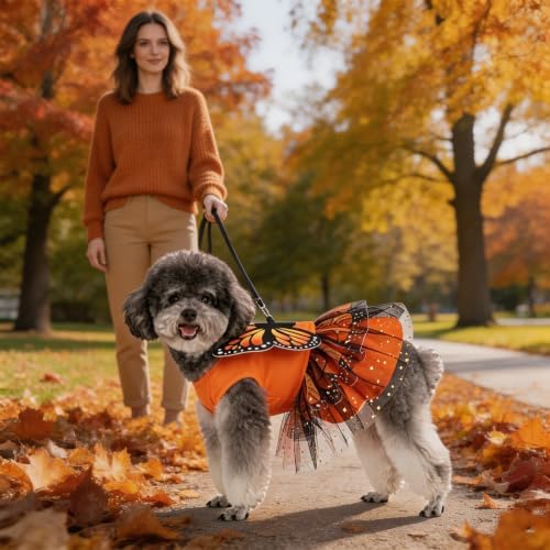 KOOLTAIL Halloween Dog Dress Butterfly Costume Outfit for Small Medium Dogs - Image 4