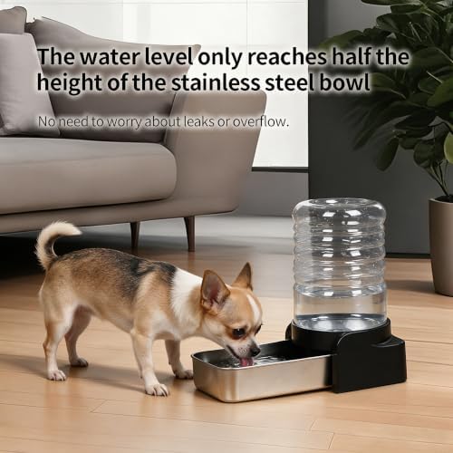 PAKEWAY 1.1 Gallon Gravity Cat Water Dispenser: Filtered Water for Cats
