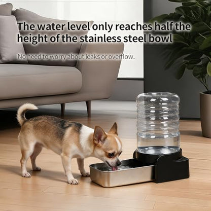 PAKEWAY 1.1 Gallon Gravity Cat Water Dispenser: Filtered Water for Cats