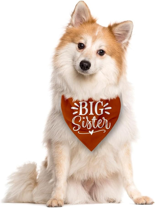 Big Sister Bandanas for Dog, Pet Pregnancy Announcement, Dark Orange Dog Bandana, Dogs Baby Announcement, Pet Bandana for Large Dogs (L)