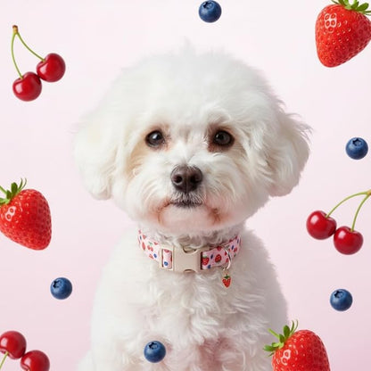 Pink Dog Collar, Female Dog Collar for Large Dogs with Strawberry, Cherry and Blueberry Print, Spring Summer Collar Made of Durable Soft Fabric, L