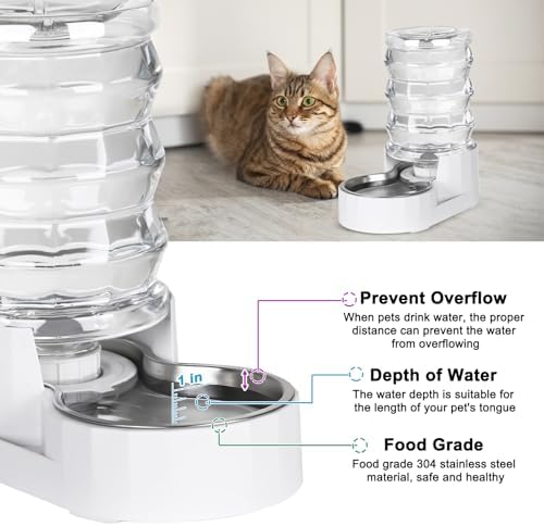 RIZZARI 4L Gravity Cat Water Dispenser: Filtered Water for Kittens