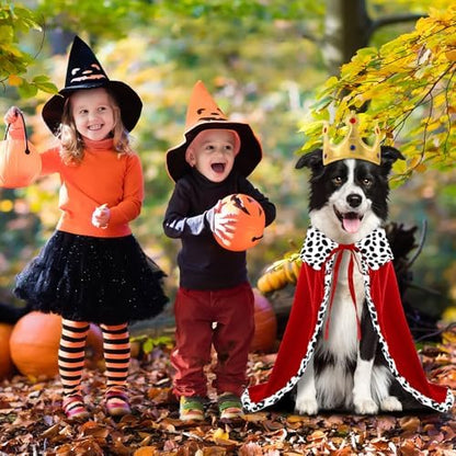 Halloween Dog King Costume Royal Cape with Crown for Medium Dogs - Image 4