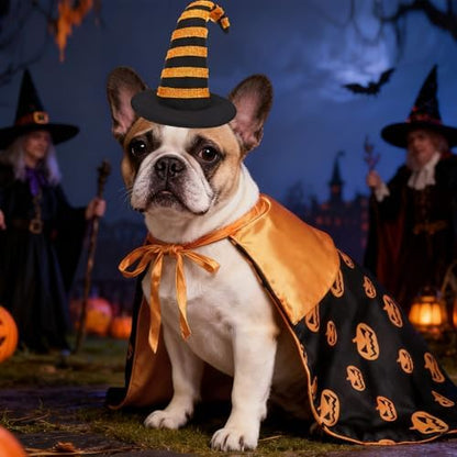 KOOLTAIL Dog Halloween Costume, Pumpkin Cape & Hat - 2 Piece Thanksgiving Set for Small Medium Large Dogs Cats Puppy, Funny Dog Witch Clothes Cosplay Dress Outfit Mantle Apparel for Holiday Party, L - Image 6