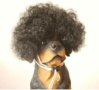 Tangpan Dog Pet High Temperture Wire Wig (Black Electricion) by Tangpan