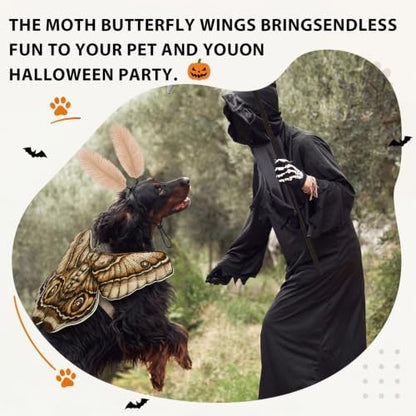 Tallew 2 Pcs Dog Halloween Costumes Moth Butterfly Wings,M,Grayish White - Image 5