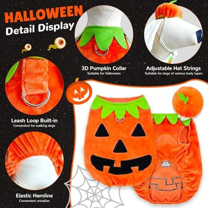 ABRRLO Funny Dog Pumpkin Costume Small Dog Cat Halloween Costumes Boy Girl Cute Halloween Dogs Shirt with Leash Ring Pumpkin Hat Puppy Cosplay Outfits Pet Party Clothes Apparel Yorkie Chihuahua(S) - Image 3
