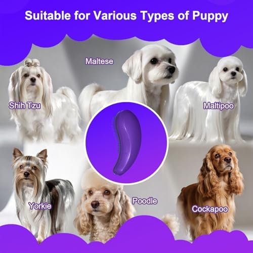 Small Dog Brush, Skin-friendly Soft Bristles (Dark Purple) - Image 6