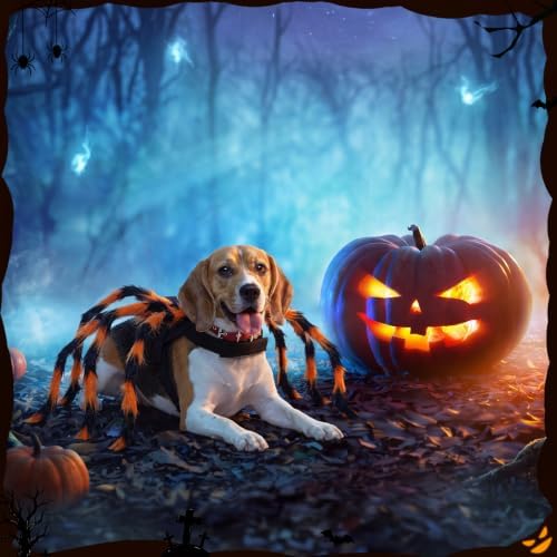 3 Pcs Halloween Costume for Dog Cat, Spider Bat Wings Cape, Orange, M - Image 4