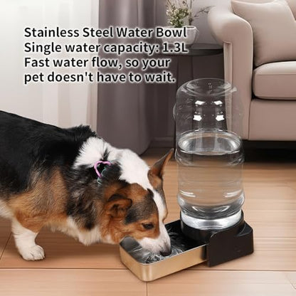 PAKEWAY 2.4 Gallon Dog Water Dispenser: Large Capacity for Multi-Pet Homes