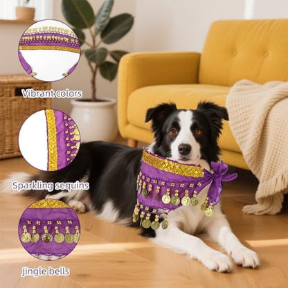 Dog Belly Dance Skirt with Sequins, Bling Belly Dance Hip Scarf for Corgis - Image 4