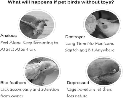 Bird Xylophone with Mirror & Bell Accessories - Musical Training Toy for Conure, Budgie, Cockatiel, Cockatoo, Parakeet, Finch (Bird Xylophone with Mirror)