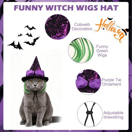 EXPAWLORER Halloween Witch Costume for Cat & Small Medium Dog - Image 4