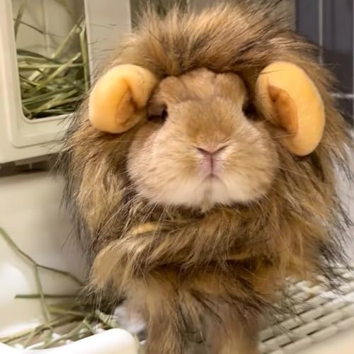 Lion Mane Wig for Rabbit Cat Halloween Costume Adjustable Pet Hat Lion Hair Cap Headwear Rabbit Clothing Accessories Cosplay Outfit Photo Shoot for Bunny Kitten Puppy Dog (Brown, Medium) - Image 4