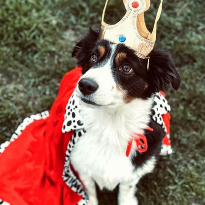 Dog King Costume, Dog Halloween Costume, Funny Pet King Cloak and Crown Set, Pet Prince Costumes Cosplay for Halloween Christmas, Cape Prince Birthday Dress Outfit for Small Dogs Pets (Small) - Image 6