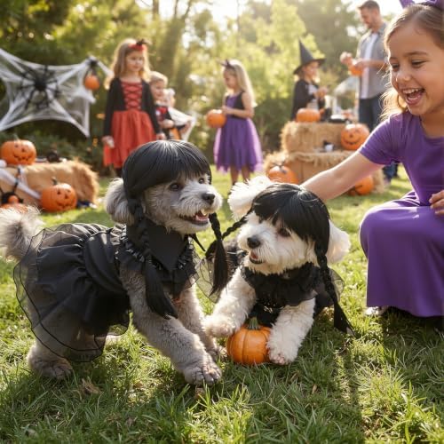 Coume 3 Pcs Halloween Dog Costumes for Dog with Belt and Wig, S - Image 6