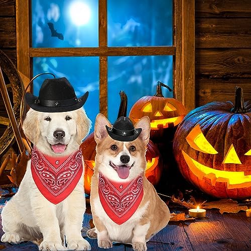 GOYOSWA Dog Halloween Costumes, Dog Cowboy Costume Halloween Pet Cowboy Hat Bandana Scarf for Small Medium Large Dogs Pets (Black Hat & Red Bandana, Small) - Image 3
