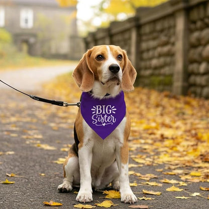 Big Sister Dog Bandana, Purple Dog Bandana, Pet Scarf Accessories, Pet Triangle Scarf, Dogs Bandanas for Small Medium Dogs (M)