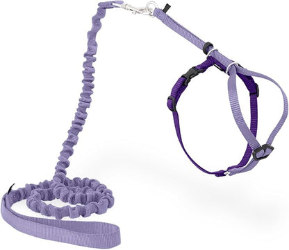 PetSafe Come With Me Kitty Cat Harness & Bungee Leash - Comfortable Cat Harness with Lightweight Bungee Leash for Outdoor Fun - More Secure Walks - Medium - Lilac
