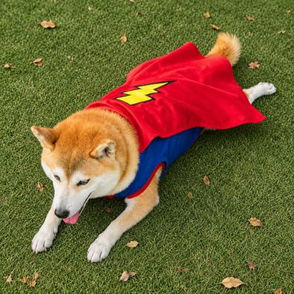 Mighty Supa Man Pet Halloween Costume with Cape - Medium Breed Dog Funny Clothes Outfit Apparel (X-Large) by POPERIE