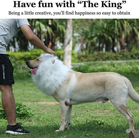 Onmygogo Lion Mane Wig for Dogs with Ears, Funny Pet Costumes for Halloween Christmas - Image 6