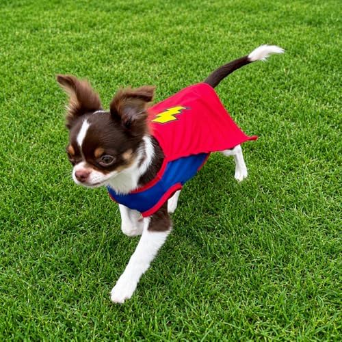 Mighty Supa Man Pet Halloween Costume with Cape - Small to Medium-Large Breed Funny Clothes Outfit Apparel (Medium) - Image 3